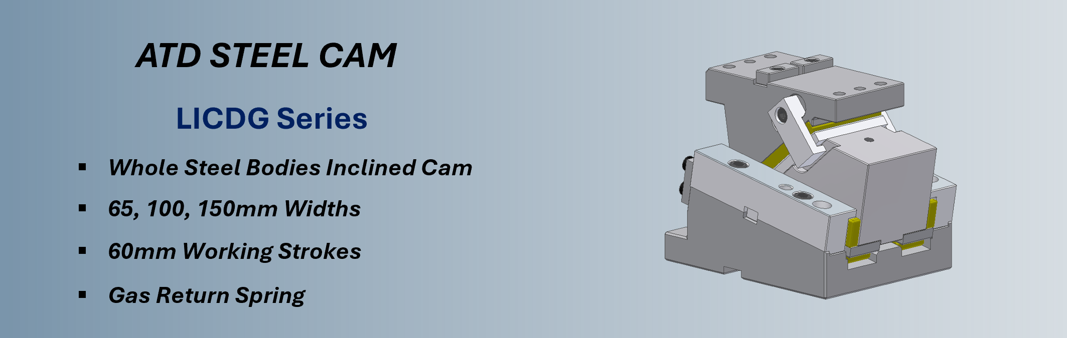 23CAM_LICDG Image