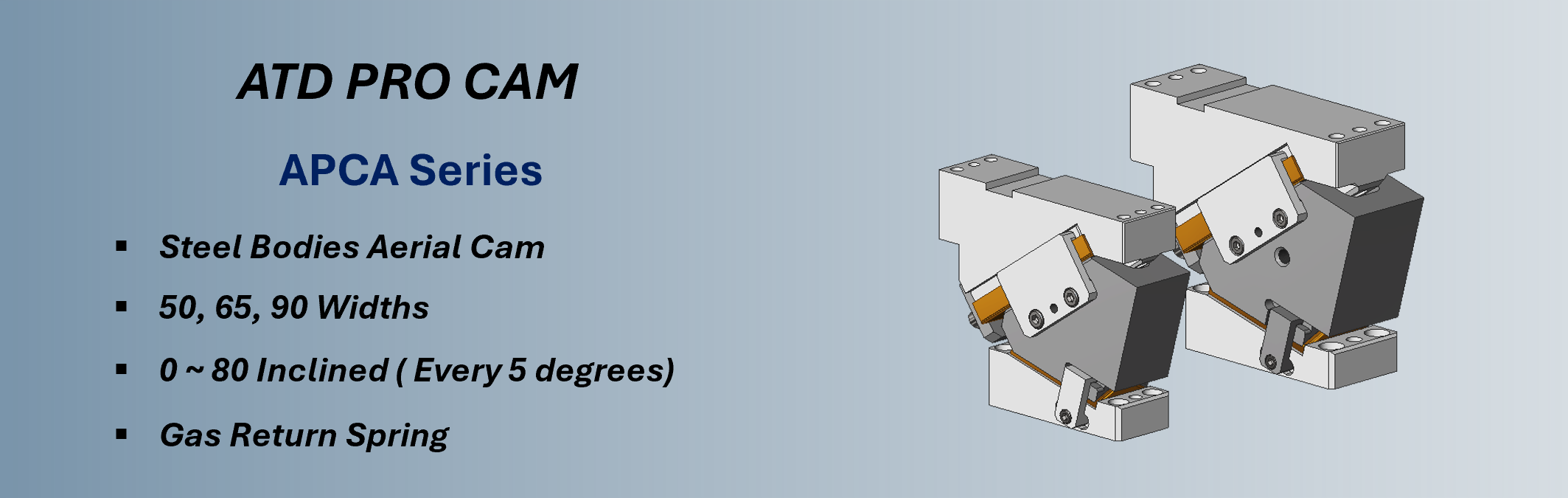 2CAM_APCA Image